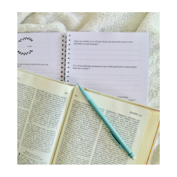 Journal de méditation - édition amplifiée