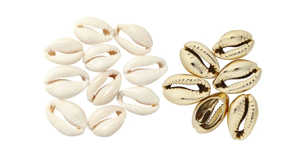 Coquillages Cauri blancs et dorés - 18 pièces - Bijoux de plage - 10 Doigts