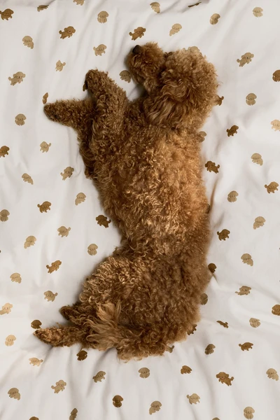 Parure de couette à motif pour bébé - Blanc/chiots - HOME | H&M BE