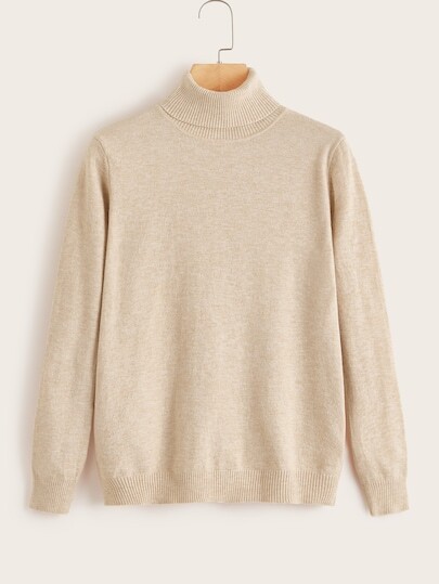 Pull unicolore avec col roulé