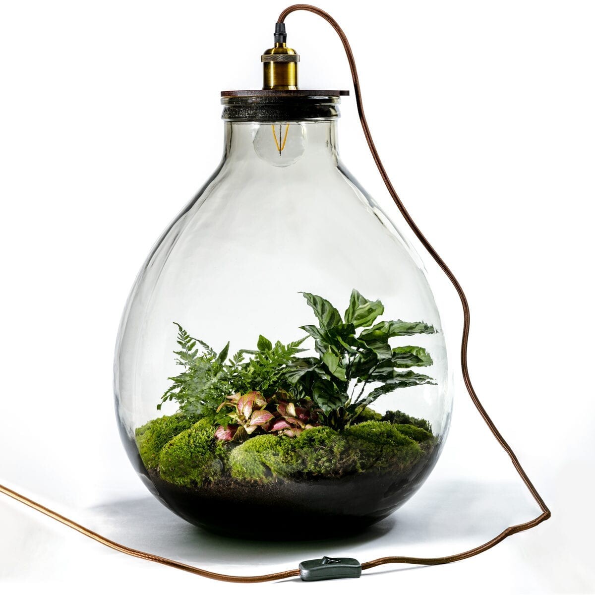 Jungle Lab by Capsule