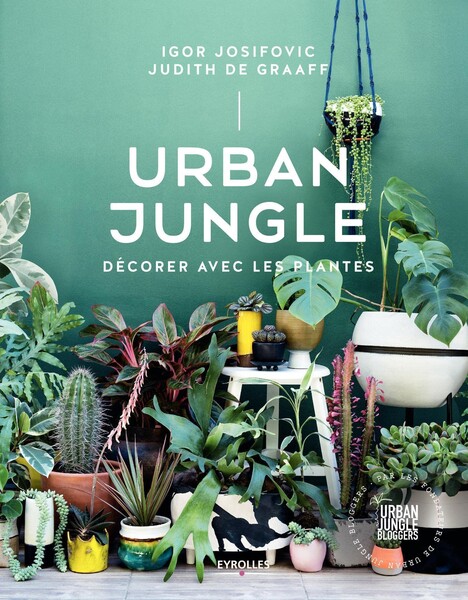 Urban Jungle : Décorer avec les plantes