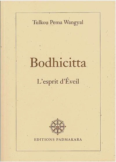 Bodhicitta l'esprit d'eveil
