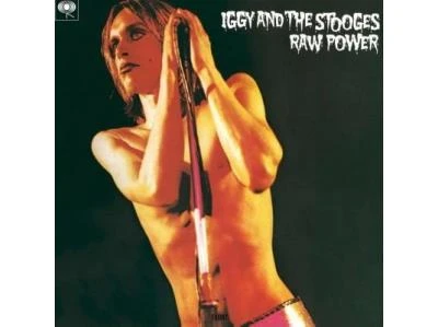 Raw Power Double Vinyle Inclus un livret de 16 pages