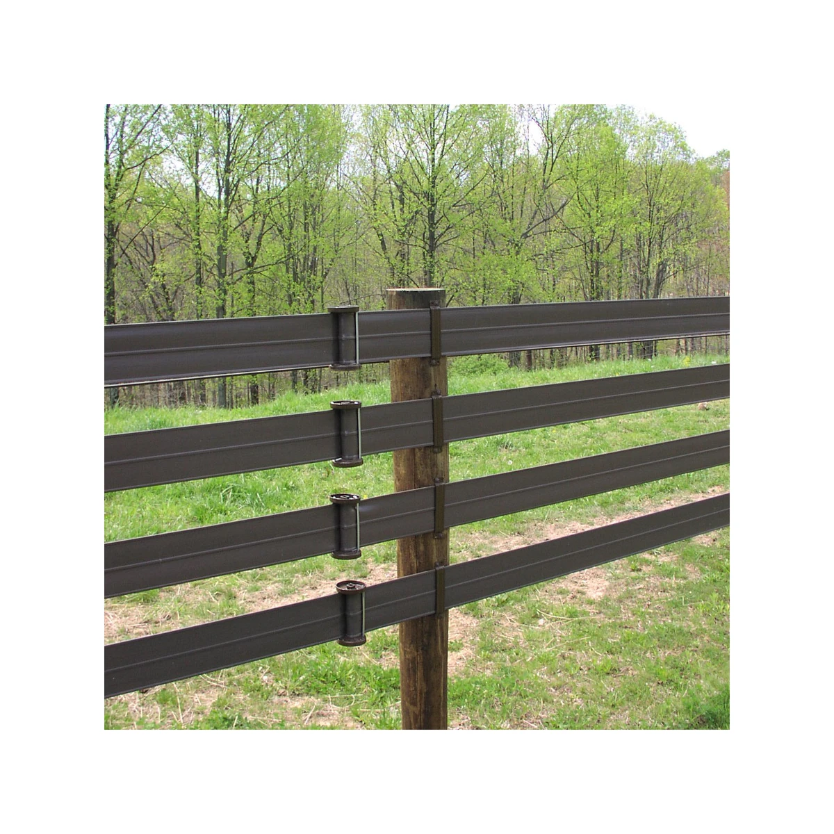 HORSERAIL