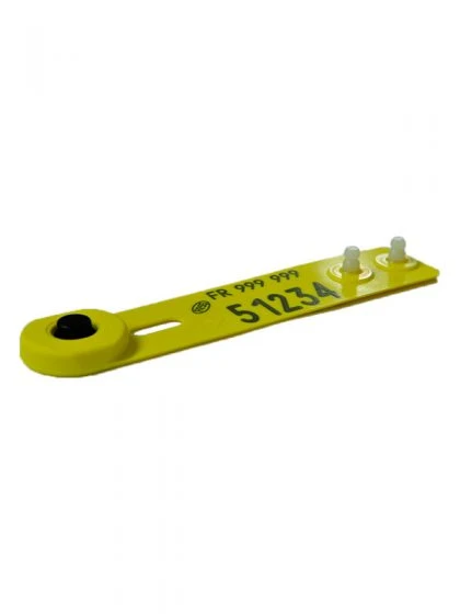 BAGUE PATURON - Allflex France