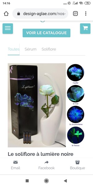 découvrez la magie du végétal luminescent !