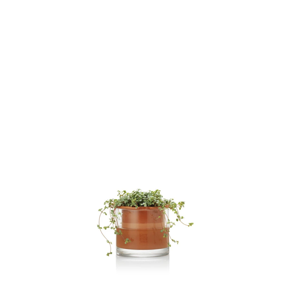 Planter S — Wet Pot Systems