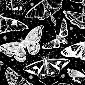 Moth Magic on Black Fabric | Spoonflower