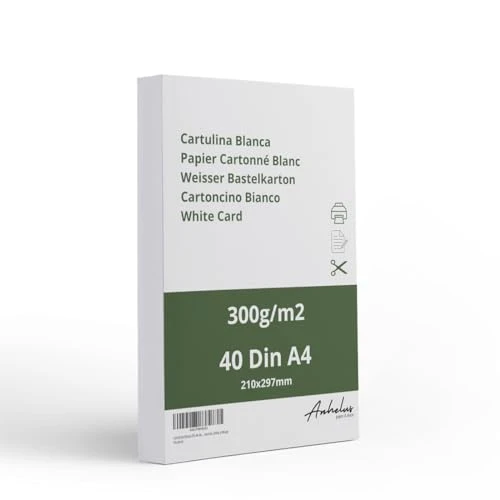 40 Papier Cartonné A4 blanc - feuilles cartonnées 300gr/m2 - feuille cartonnée épais - Carton satiné à imprimer - Carton à dessin, à découper et à peindre