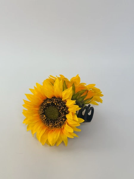sunflower claw