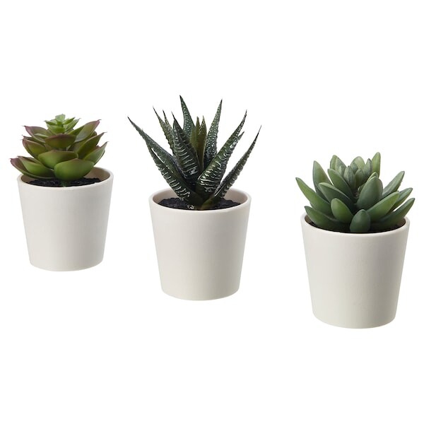 FEJKA Plante artificielle en pot, intérieur/extérieur succulente, 6 cm3 pièces - IKEA