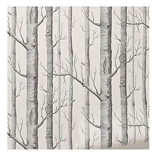 Cutogain bouleaux Papier Peint Moderne Rouleau de Papier Mural de d/écoration Forest Wood Fonds d/écran pour Chambre /à Coucher Salle de s/éjour