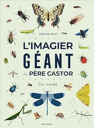 L’imagier géant des insectes 