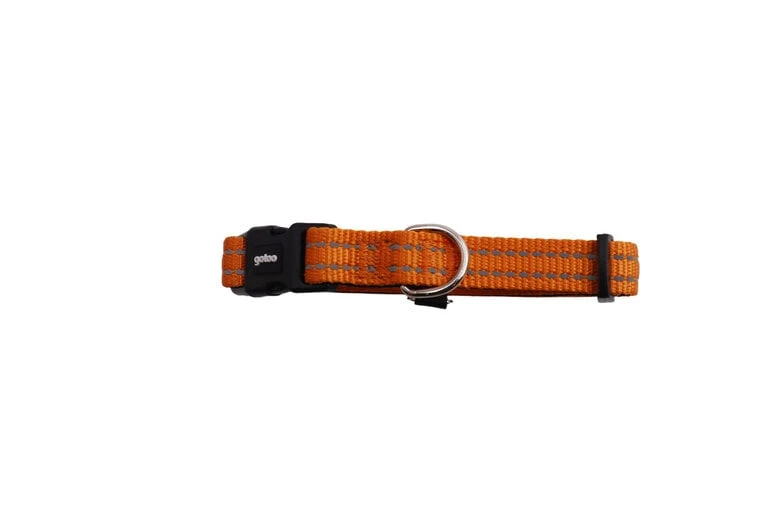 Gotoo - Collier Essentials en Nylon Premium Orange pour Chien - XS | Animalis