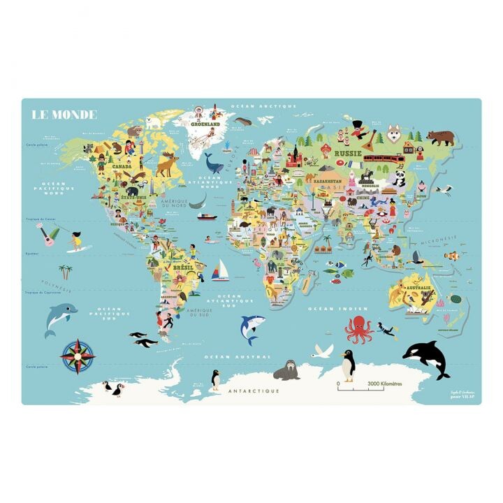 Carte du Monde magnétique - Ingela P.Arrhenius