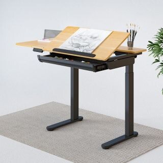 FlexiSpot Bureau assis debout électrique ED1B