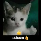 ziyedyusufayoub