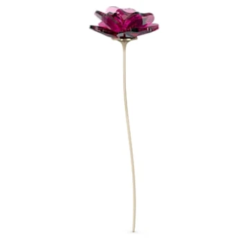 Garden Tales Rose