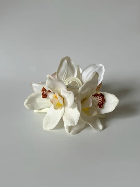 xl white cymbidium orchid claw
