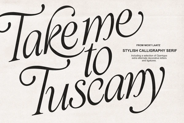 Take Me To Tuscany Typeface, a Script Font by Nicky Laatz