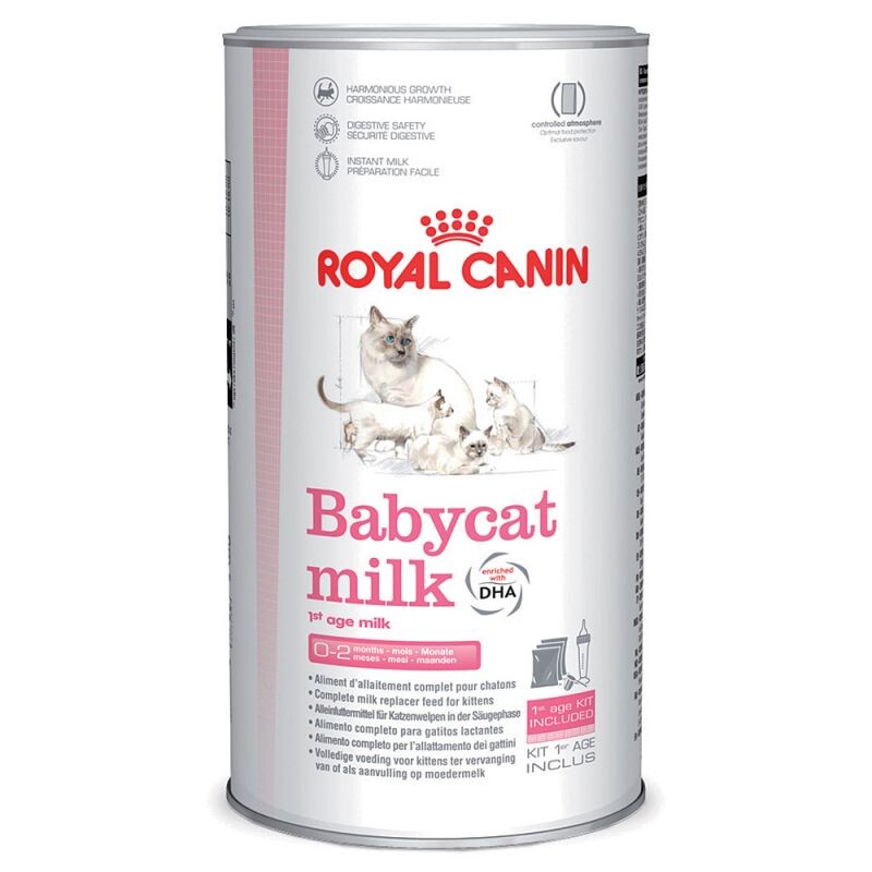 Lait maternisé Royal Canin Babycat pour chaton