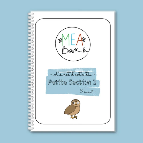 🦉 Petite Section #1