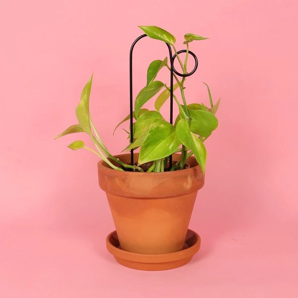 Mini Tuteur 30 cm - Bump Noir