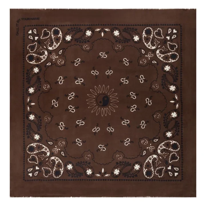 Etole Paisley Laine et Soie | Marron