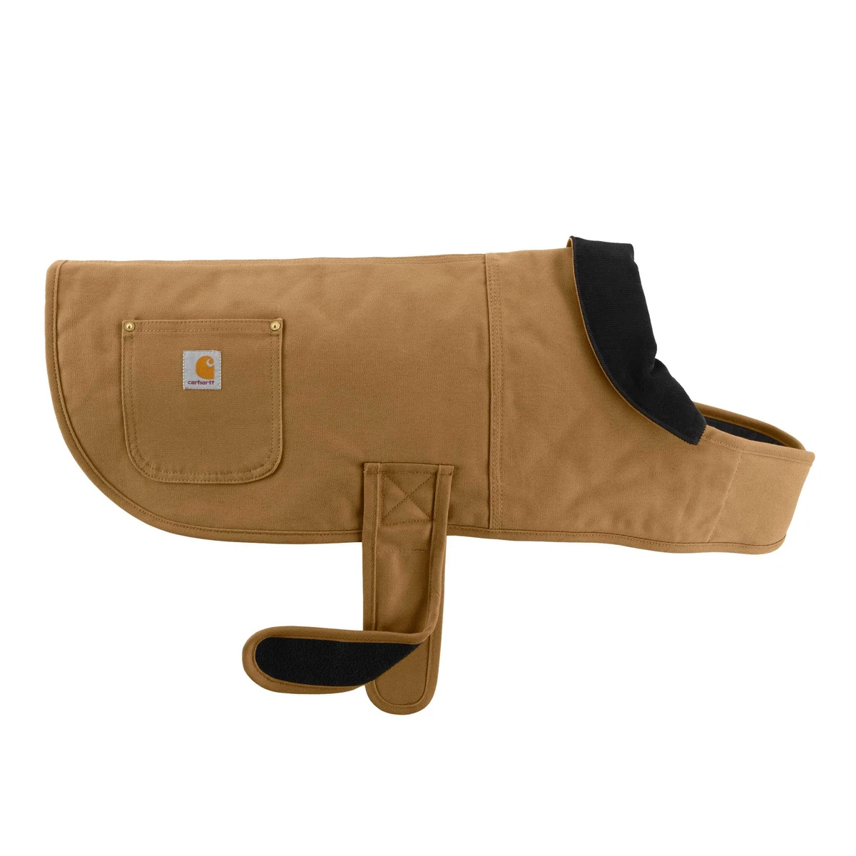 Manteau pour Asmar 🐶 