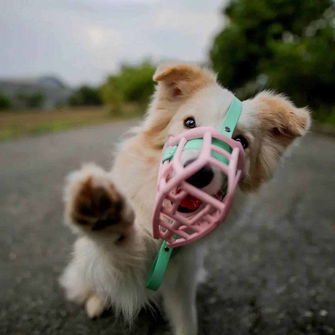 Muzzles