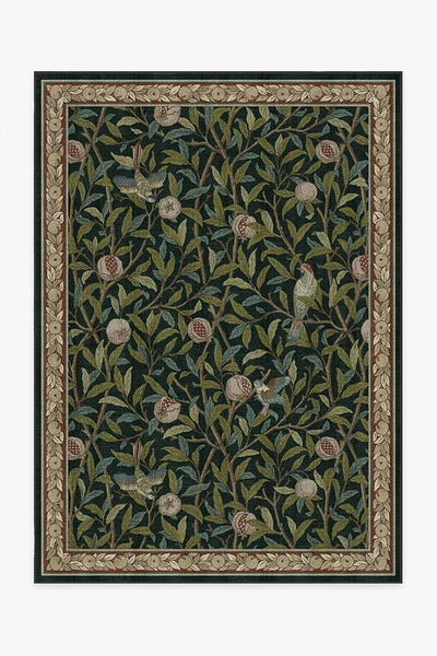 Morris & Co. Bird & Pomegranate Teal Green Tufted Rug | Ruggable