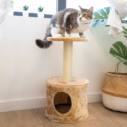 Petit arbre à chat - 57 cm - Zolia Rico