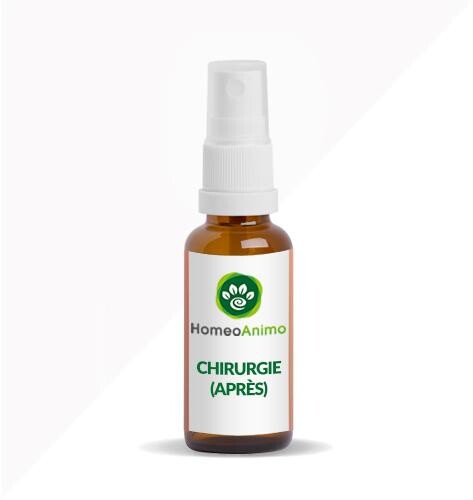 CHIRURGIE (APRÈS)