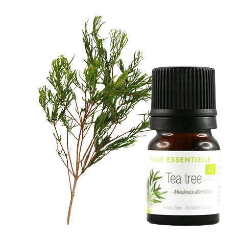 Huile essentielle Tea tree (Arbre à Thé BIO)