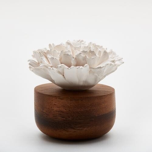 Diffuseur de parfum durable Anok / Oeillet du Japon Blanc