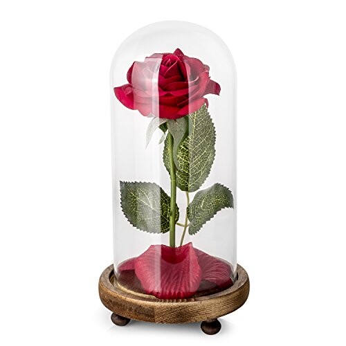 "La Belle et la Bête" Kit de Rose, Rose en Soie Rouge et Lumière LED avec Pétales tombés dans une coupole en verre sur socle en bois pour la décoration intérieure Anniversaire Mariage Fête des Mères