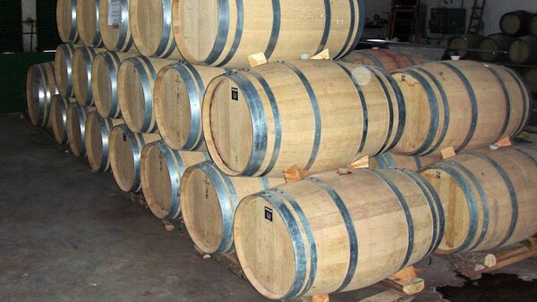 Vinos de Cebreros con personalidad - DOP Cebreros