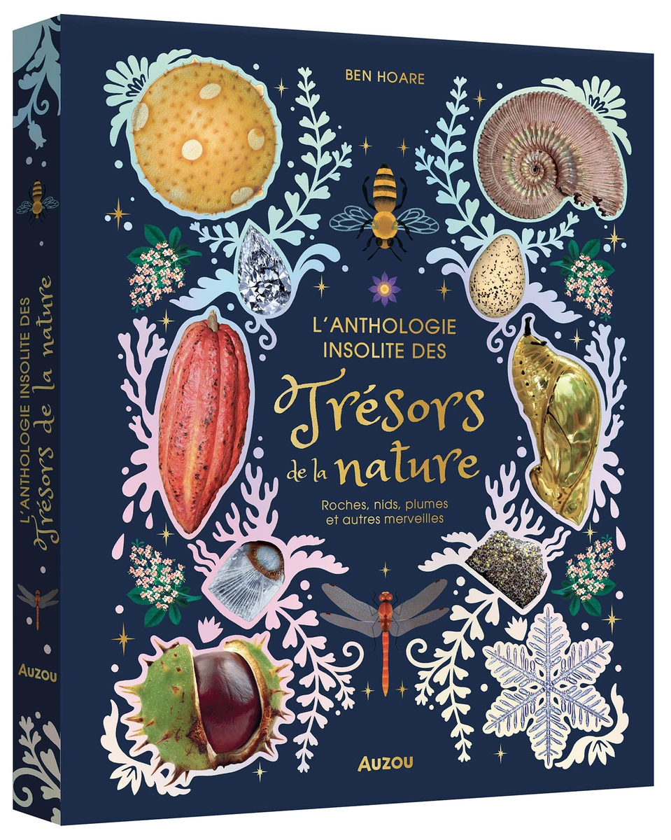 L'anthologie insolite des trésors de la nature : roches, nids, plumes et autres merveille s - Livres enfants - Auzou