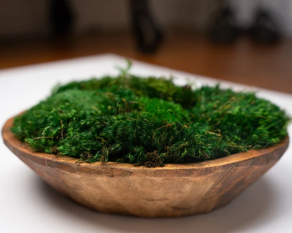 MyGroundingLiving | Round Moss Dough Bowl - Centerpiece Table Decor