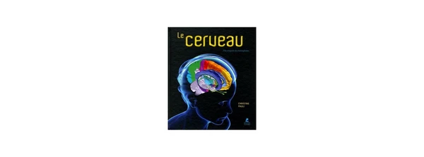 Le Cerveau - A la conquête des hémisphères
