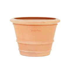 Cuvier argi D.37xH.26cm