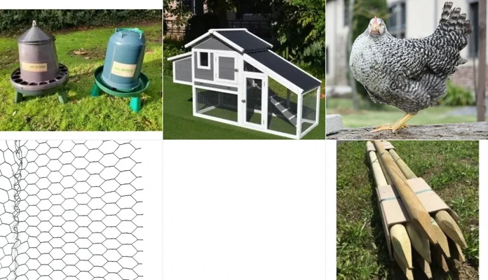 ESPACE POULES