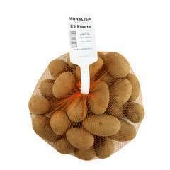 Plants de pommes de terre 'Monalisa' en filet x25