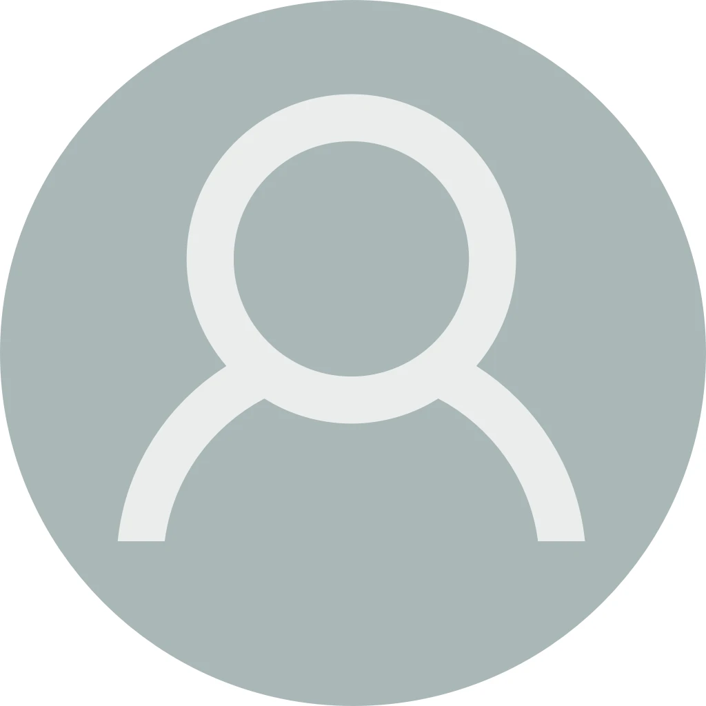 Organisateur jouet pour voiture 