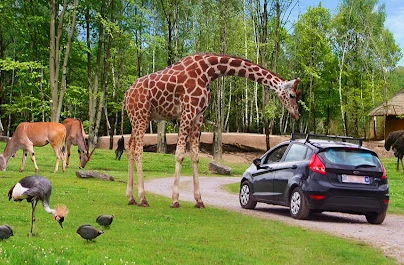 Monde Sauvage Safari Parc - Safari 