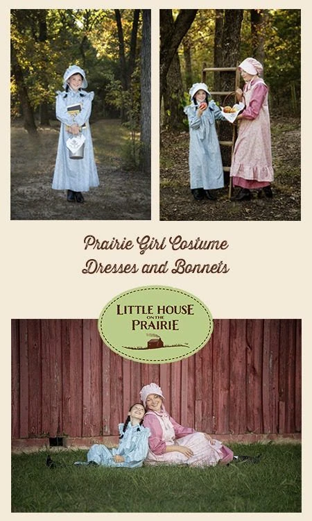 La petite maison dans la prairie