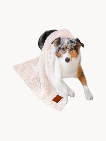 Couverture pour chien Cozy