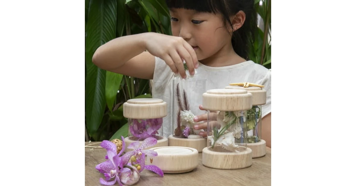 Ensemble de 8 tubes à trésors - Guidecraft - Bois et plexiglass