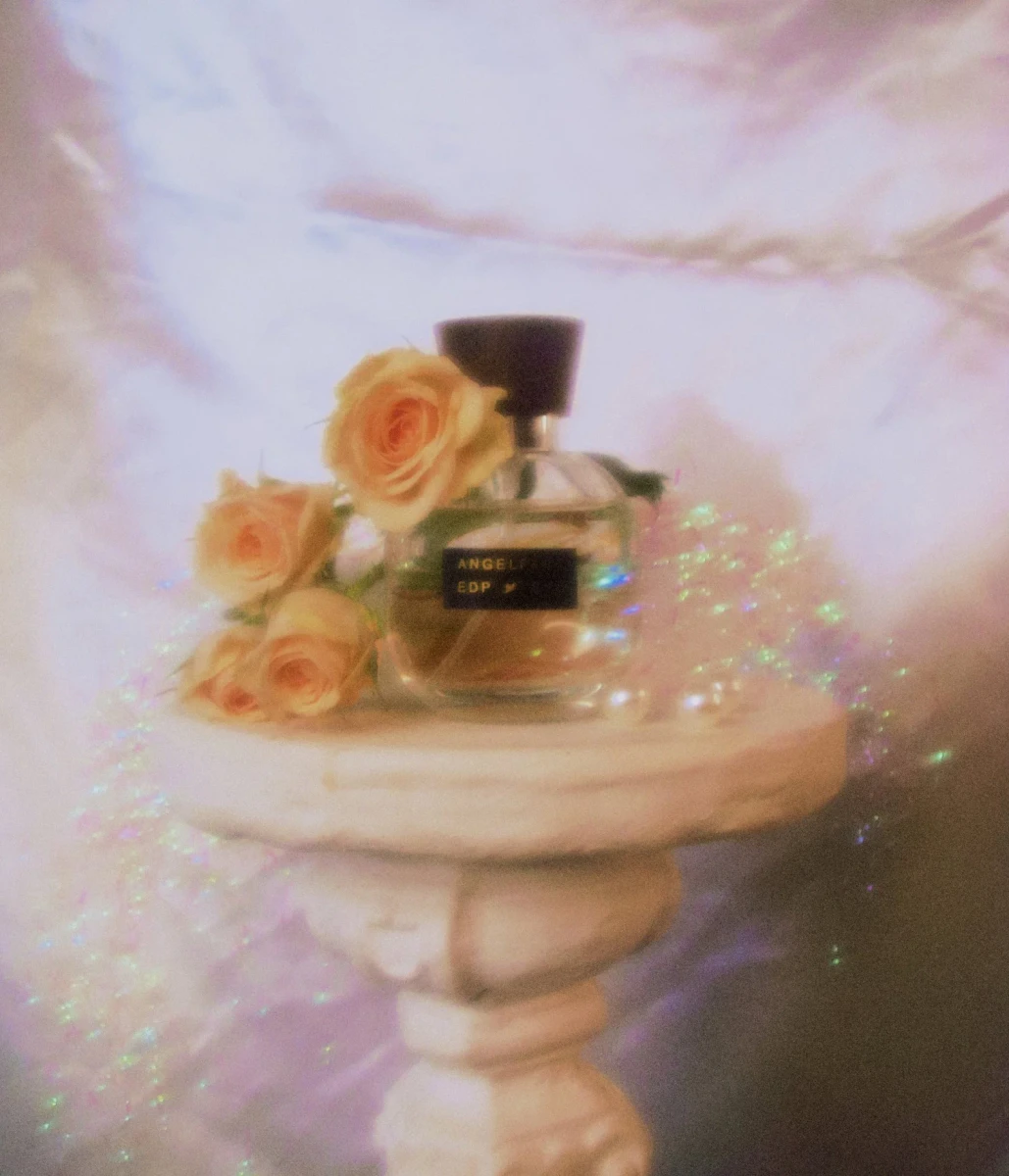 Angelface — SYD Botanica